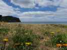 Whangamata Beach (17. Nov.)