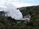 Geyser Flat in Te Puia (18. Nov.)