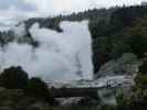 Geyser Flat in Te Puia (18. Nov.)