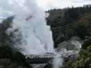 Geyser Flat in Te Puia (18. Nov.)