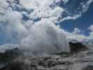 Geyser Flat in Te Puia (18. Nov.)