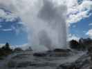 Geyser Flat in Te Puia (18. Nov.)