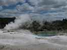 Geyser Flat in Te Puia (18. Nov.)