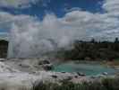 Geyser Flat und Blue Pool in Te Puia (18. Nov.)