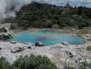 Blue Pool in Te Puia (18. Nov.)