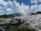 Geyser Flat in Te Puia (18. Nov.)