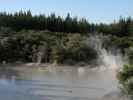 Mud Pool in Waiotapu (19. Nov.)