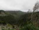 Rimutaka Summit, 555 m (20. Nov.)