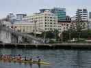 City to Sea Bridge in Wellington (21. Nov.)