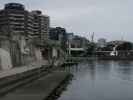 City to Sea Bridge in Wellington (21. Nov.)