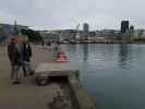 Papa, Mama und Markus auf der Wellington Waterfront (21. Nov.)