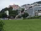 Waitangi Park in Wellington (21. Nov.)