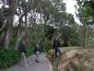 Papa, Mama und Markus in den Wellington Botanic Gardens (21. Nov.)