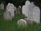 Bolton Street Cemetery in Wellington (21. Nov.)