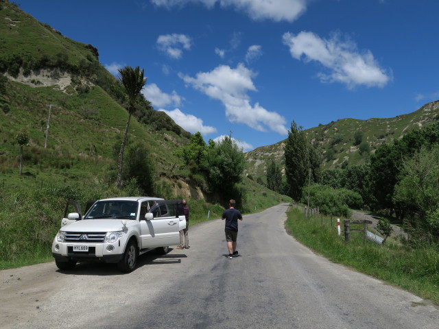 Papa und Markus auf der Whanganui River Road (22. Nov.)