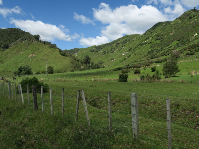 neben der Whanganui River Road (22. Nov.)