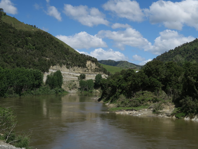 Whanganui River (22. Nov.)