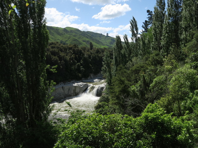 Mangawhero River (22. Nov.)
