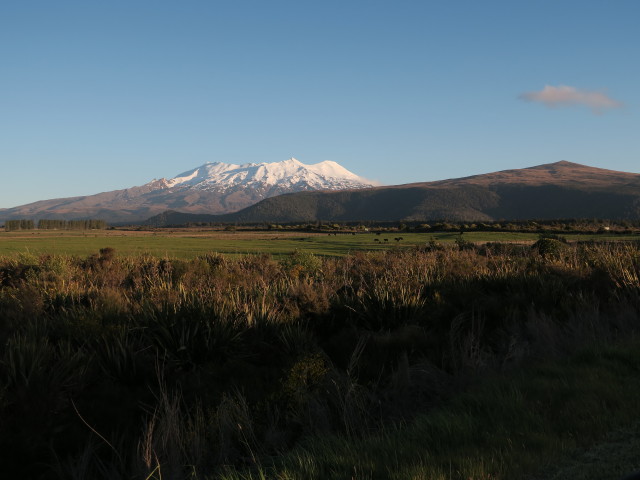 Mount Ruapehu von National Park aus (22. Nov.)