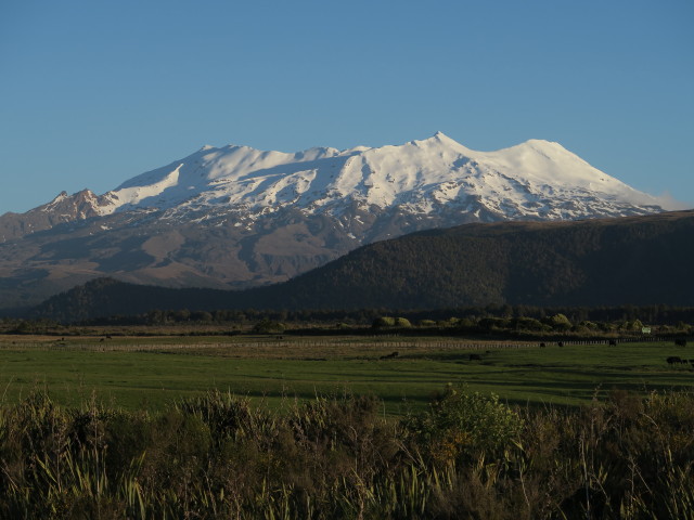 Mount Ruapehu von National Park aus (22. Nov.)