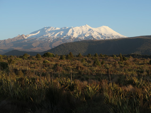 Mount Ruapehu von National Park aus (22. Nov.)