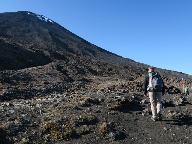 Tongariro Alpine Crossing: Markus zwischen Soda Springs und South Crater (23. Nov.)