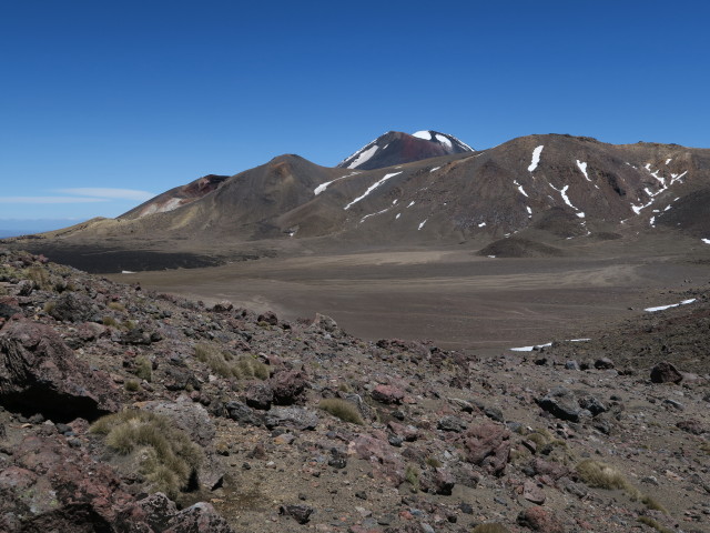 Tongariro Alpine Crossing: Central Crater (23. Nov.)