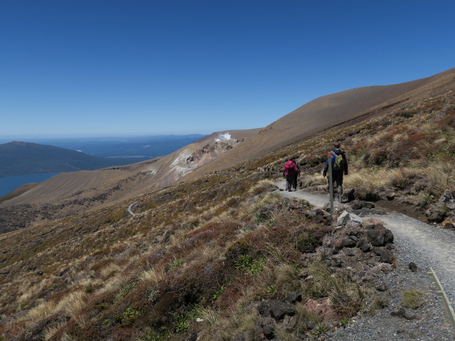 Tongariro Alpine Crossing: zwischen Blue Lake und Ketetahi Hut (23. Nov.)