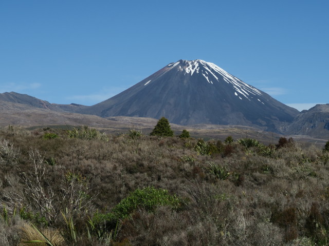 Mount Ngauruhoe (23. Nov.)