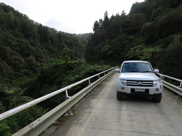 Forgotten World Highway beim Tangarakau River (24. Nov.)