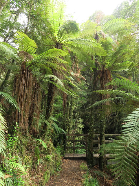 beim Morgans Grave (24. Nov.)