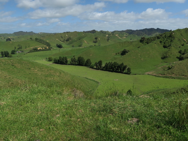 neben dem Forgotten World Highway (24. Nov.)