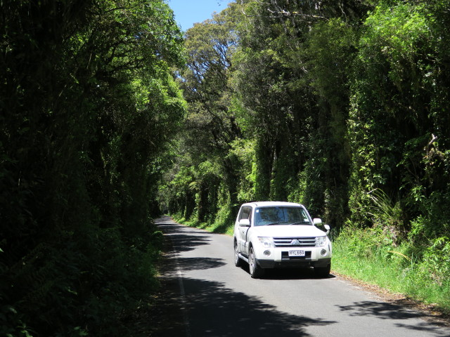 Manaia Road (24. Nov.)