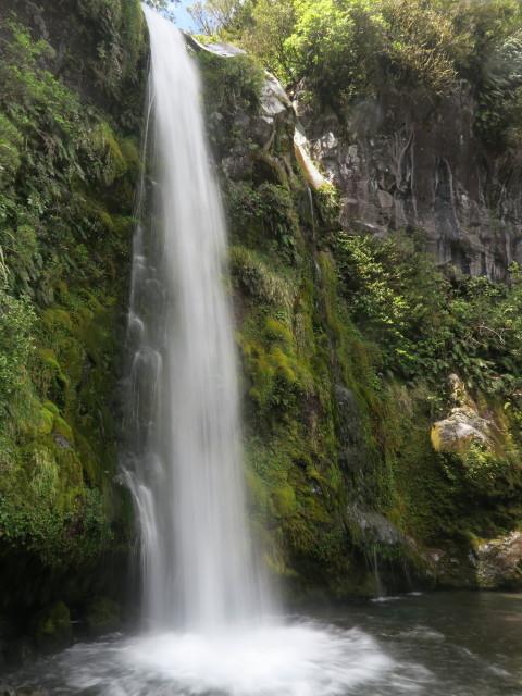 Dawson Falls (24. Nov.)