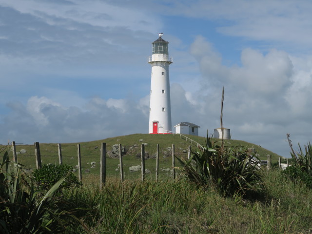 Cape Egmont Lighthouse (24. Nov.)