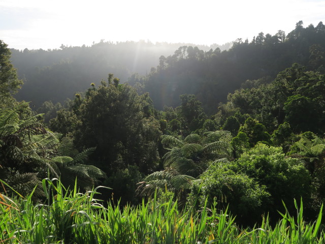 neben der Mokau Road (25. Nov.)