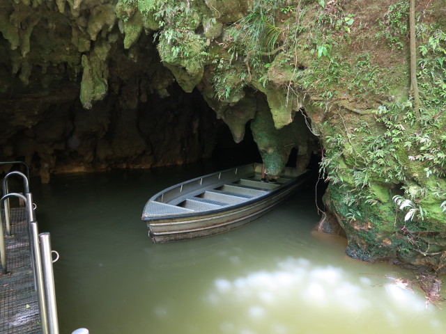 Waitomo Cave (25. Nov.)