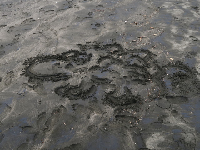 Piha Beach (26. Nov.)