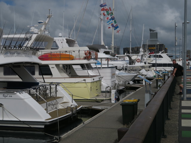 Markus im Viaduct Harbour in Auckland (27. Nov.)