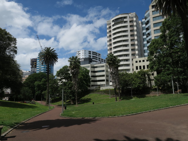 Myers Park in Auckland (27. Nov.)