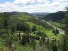 Whanganui River (22. Nov.)