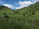 neben der Whanganui River Road (22. Nov.)