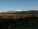 Mount Ruapehu von National Park aus (22. Nov.)