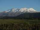 Mount Ruapehu von National Park aus (22. Nov.)