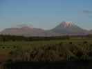 Mount Tongariru von National Park aus (22. Nov.)