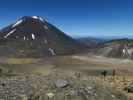 Tongariro Alpine Crossing: South Crater (23. Nov.)