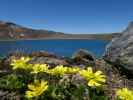 Tongariro Alpine Crossing: Blue Lake (23. Nov.)