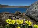 Tongariro Alpine Crossing: Blue Lake (23. Nov.)