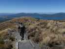 Tongariro Alpine Crossing: Markus am Ketetahi Track (23. Nov.)