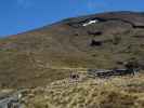 Tongariro Alpine Crossing: Ketetahi Hut (23. Nov.)